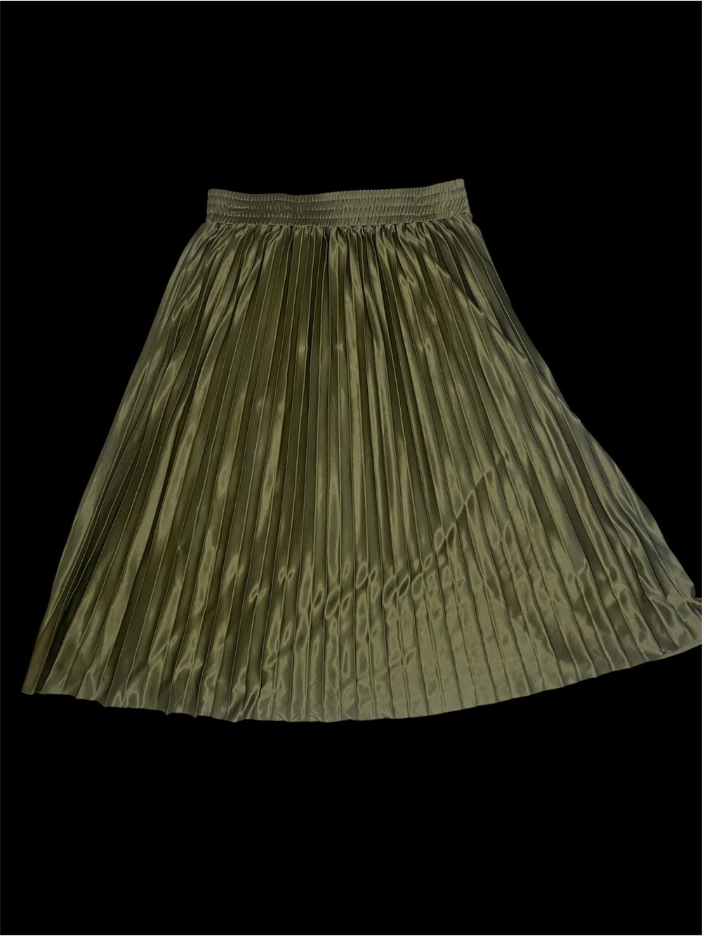 Studio West Pleaded Fashion Skirt